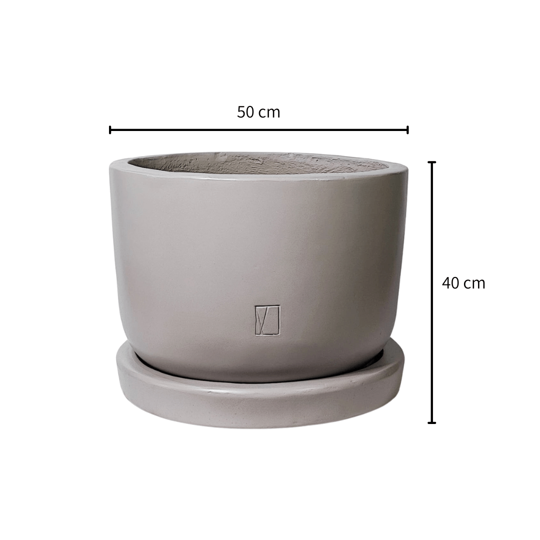 Comala Tazón Grande Plato - Vivo Interior