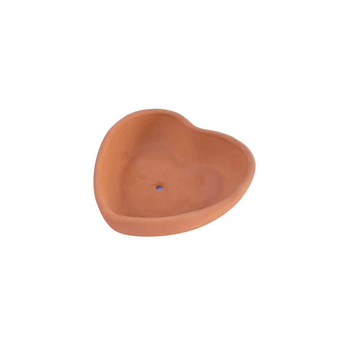 Corazón - Vivo Interior