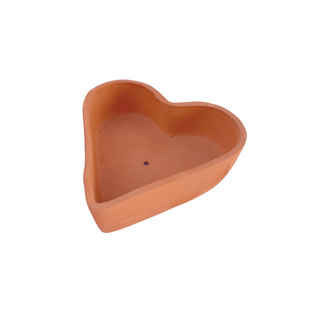 Corazón - Vivo Interior