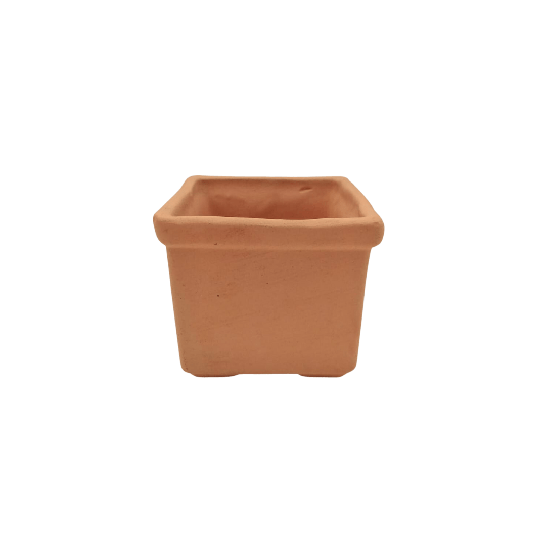 Cubo - Vivo Interior