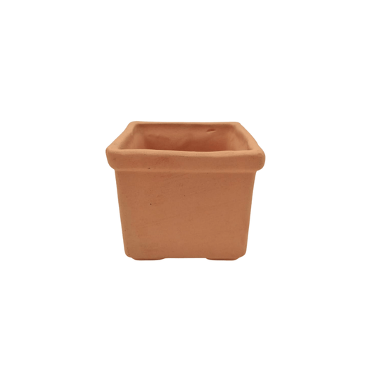 Cubo - Vivo Interior