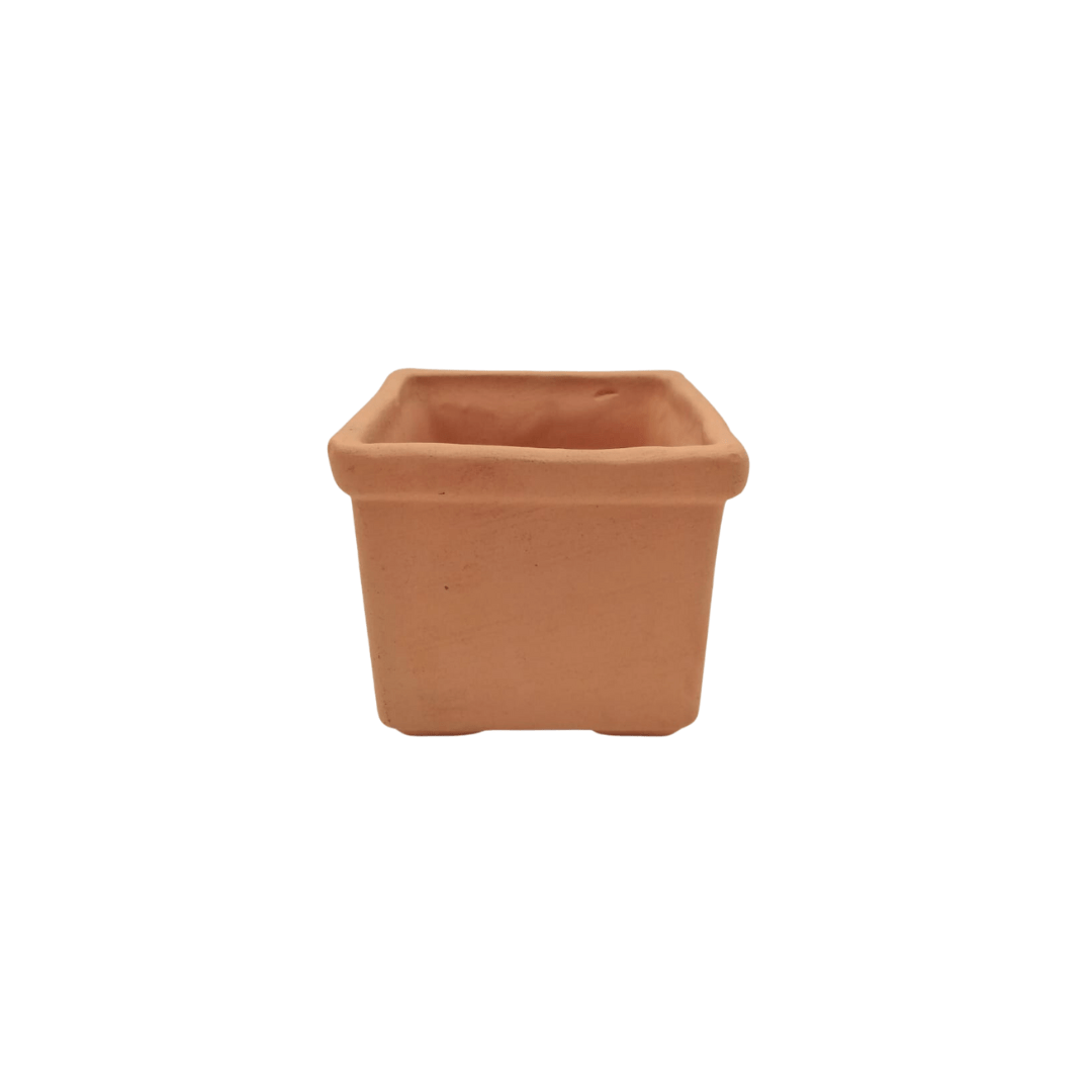 Cubo - Vivo Interior