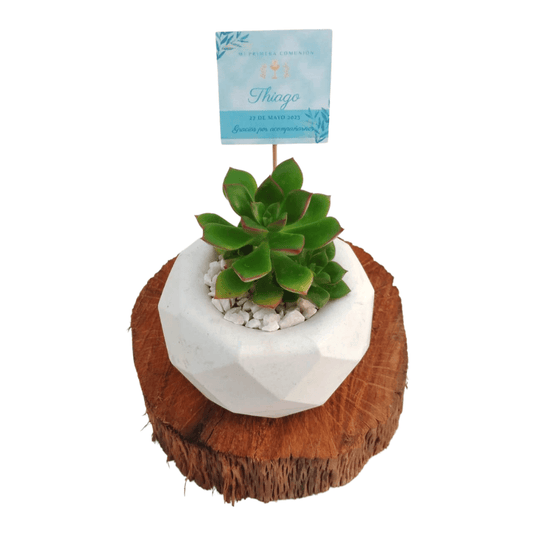 Diamantes baby - Vivo Interior