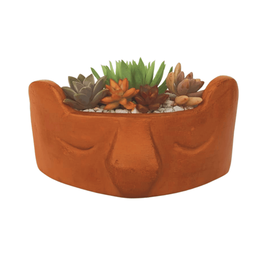 El oso suculento - Vivo Interior