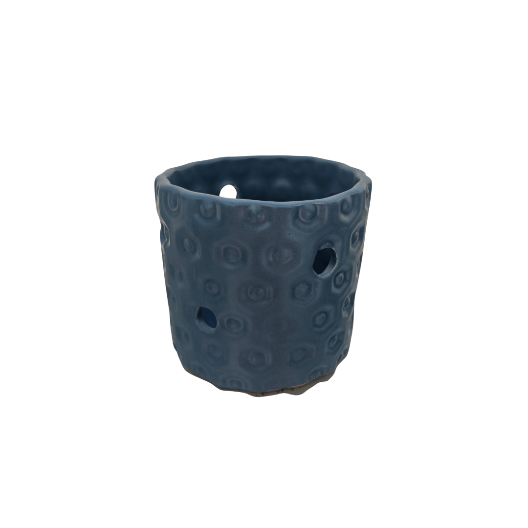 Gerbera orquídea - Vivo Interior