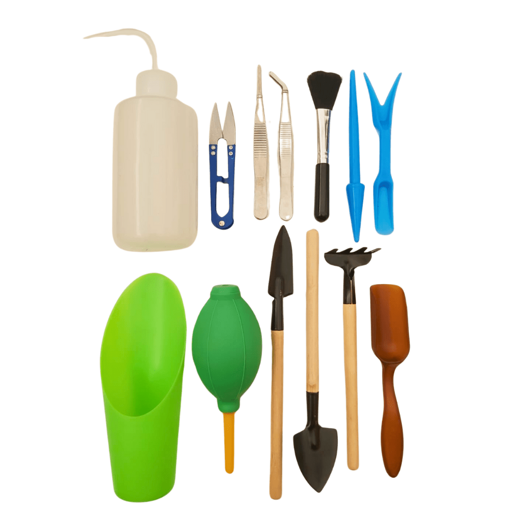 Herramientas para suculentas - Vivo Interior