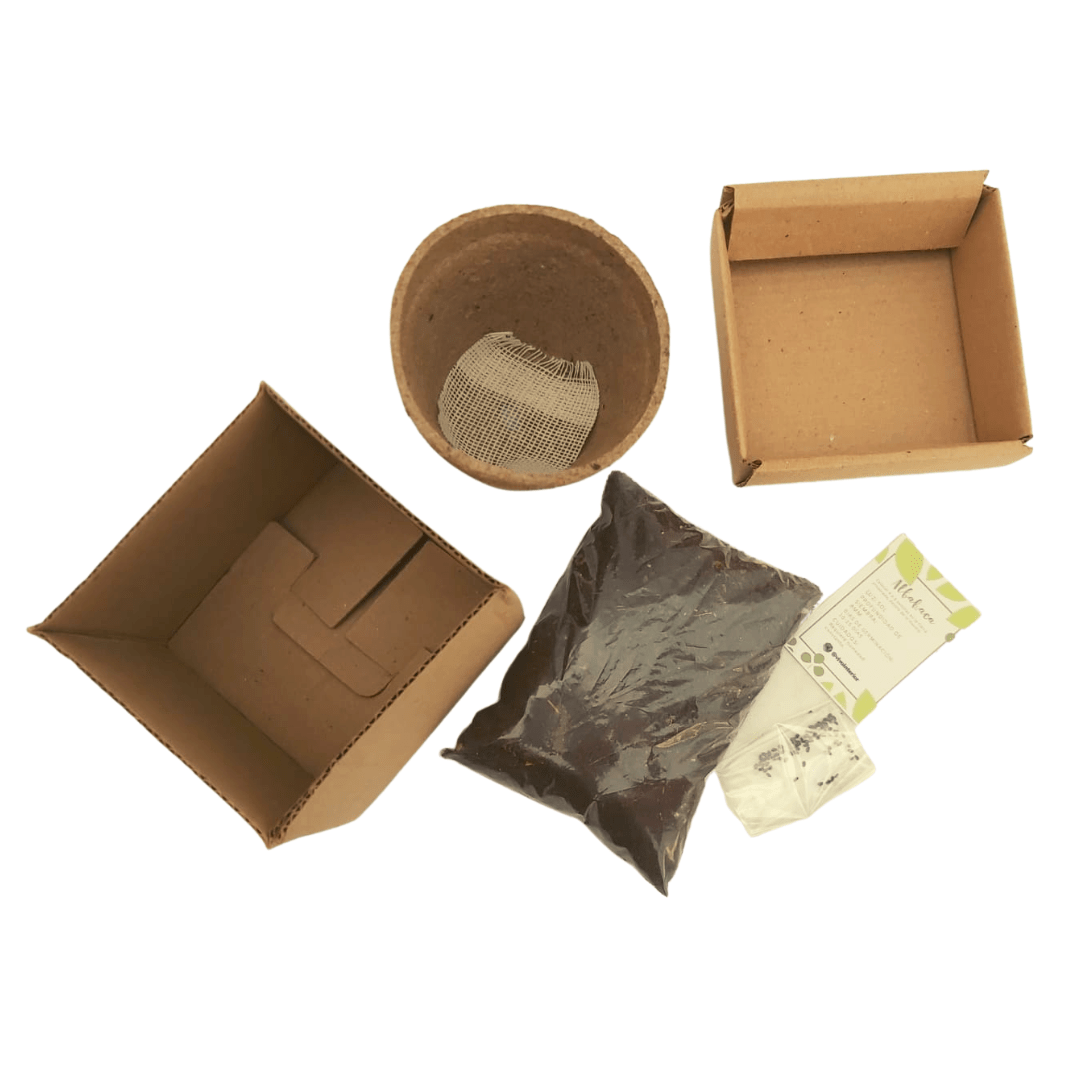 Kit de semillas garden - Vivo Interior