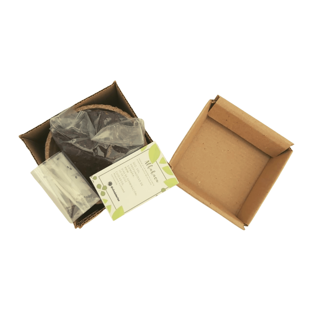 Kit de semillas garden - Vivo Interior