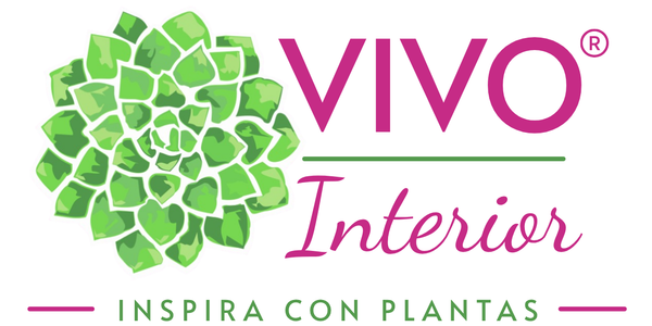 logo vivo interior