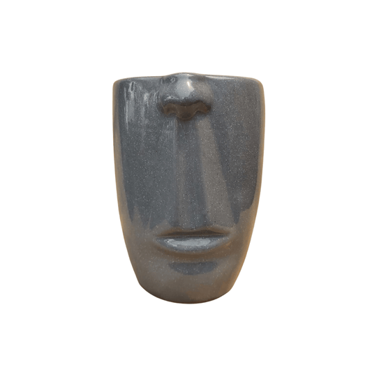 Media cara - Vivo Interior