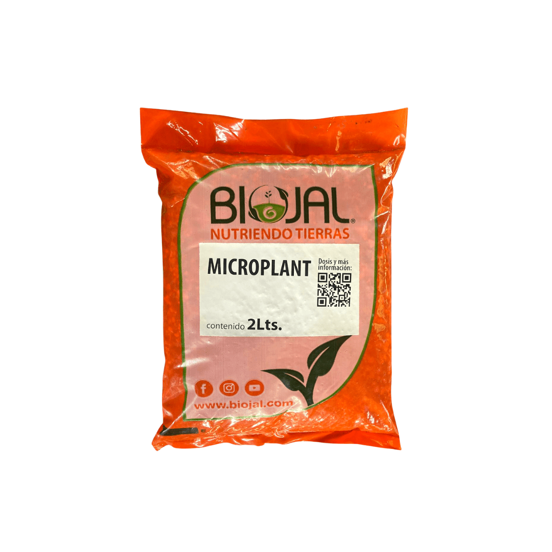 Microplant - Vivo Interior