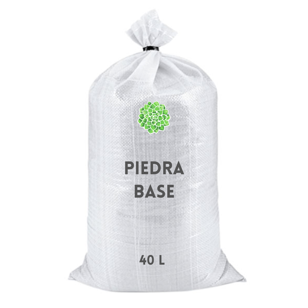 Piedra base - Vivo Interior