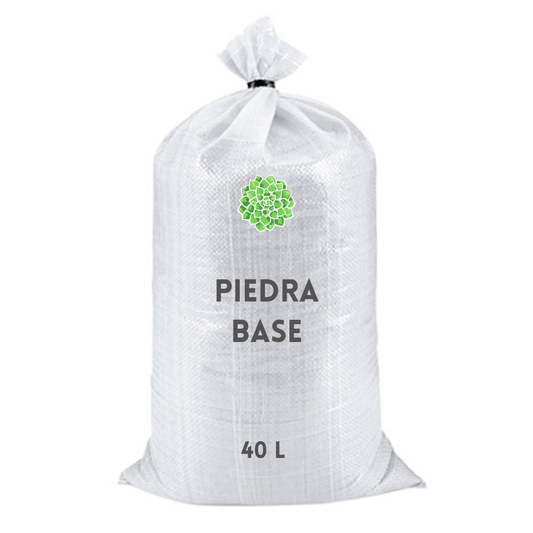 Piedra base - Vivo Interior