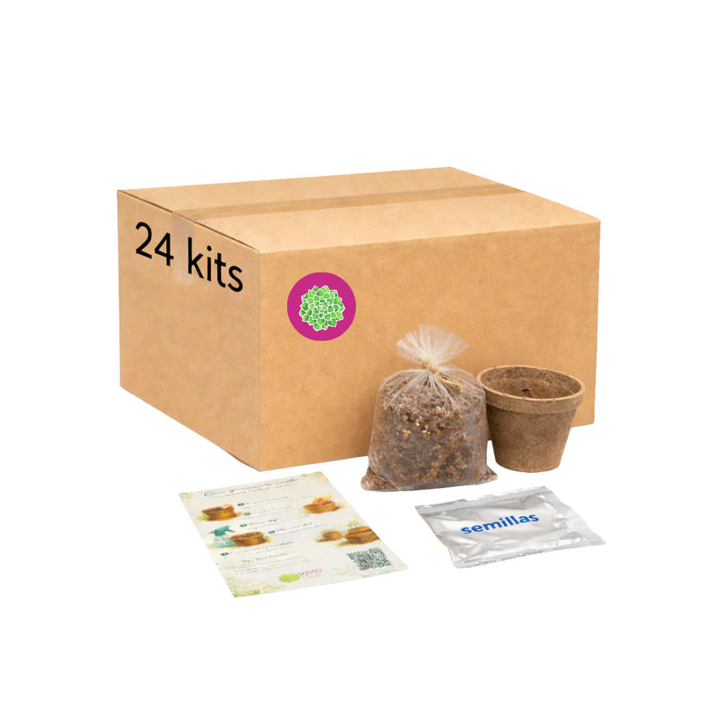 Kit de semillas (24 piezas)