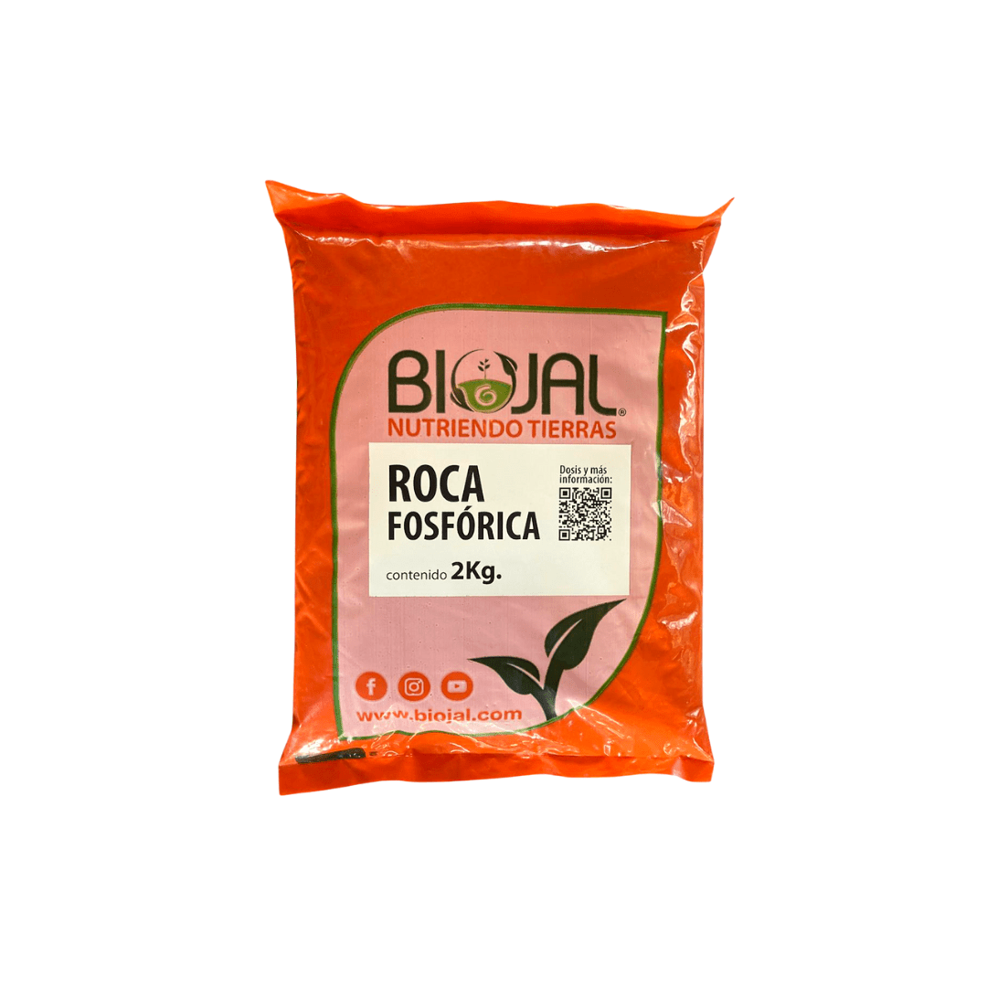 Roca fosfórica - Vivo Interior