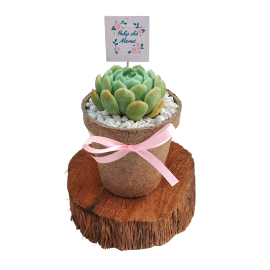 Sucu bios - Vivo Interior