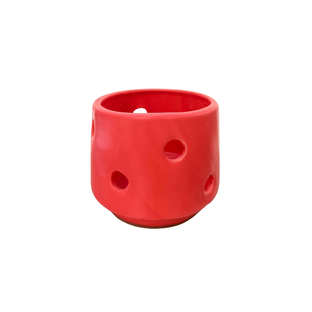 Susan orquídea - Vivo Interior