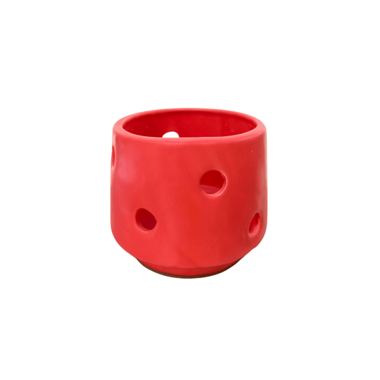 Susan orquídea - Vivo Interior