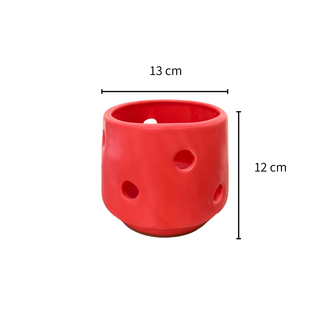 Susan orquídea - Vivo Interior