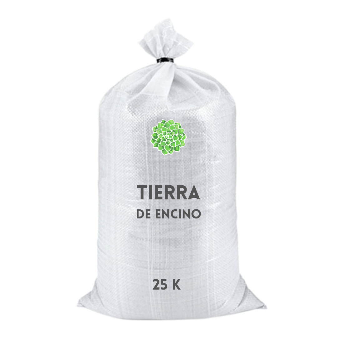 Tierra de encino - Vivo Interior