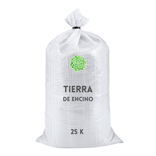 Tierra de encino - Vivo Interior