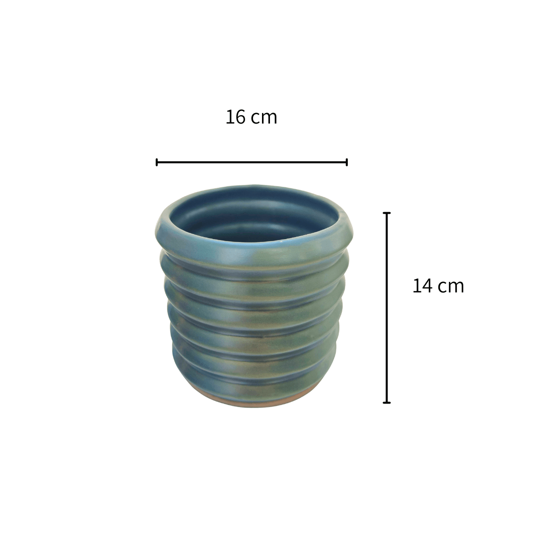 Tornillo - Vivo Interior