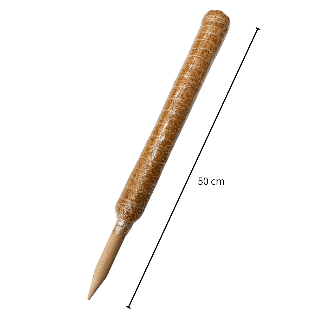 Tutor para plantas - Vivo Interior