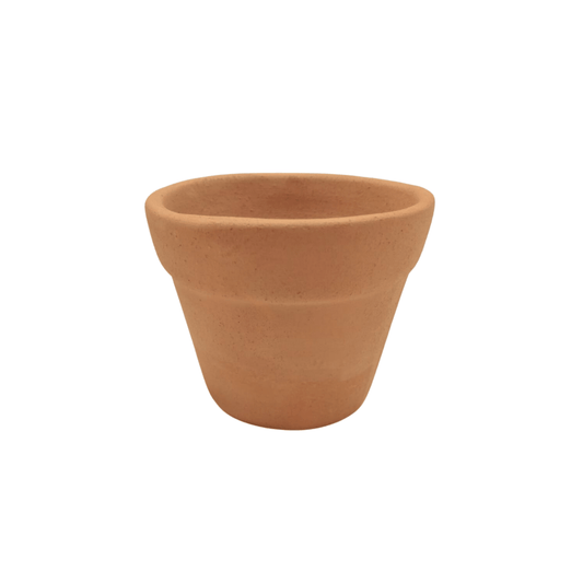 Vaso - Vivo Interior