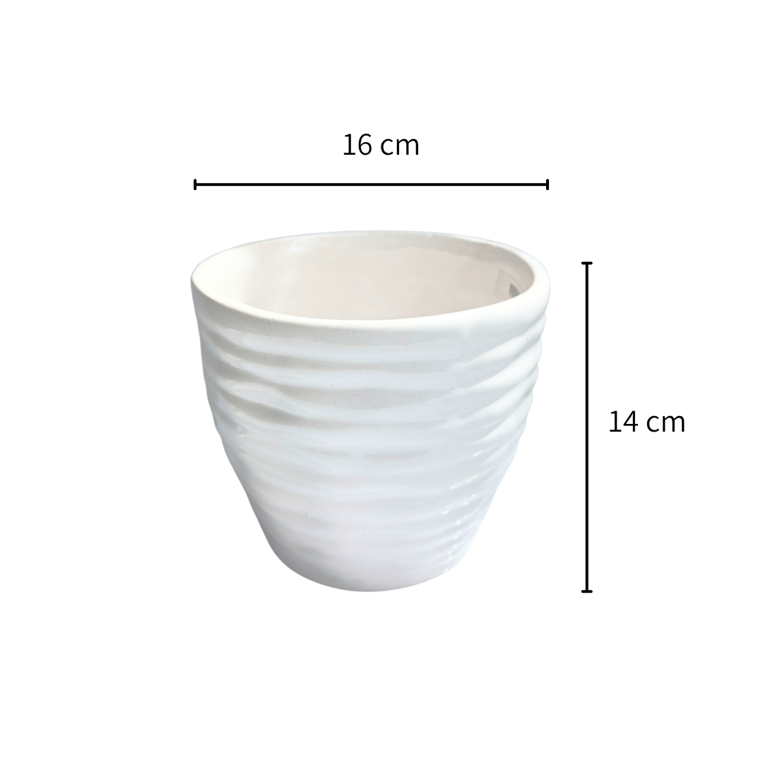 Vaso anillado - Vivo Interior