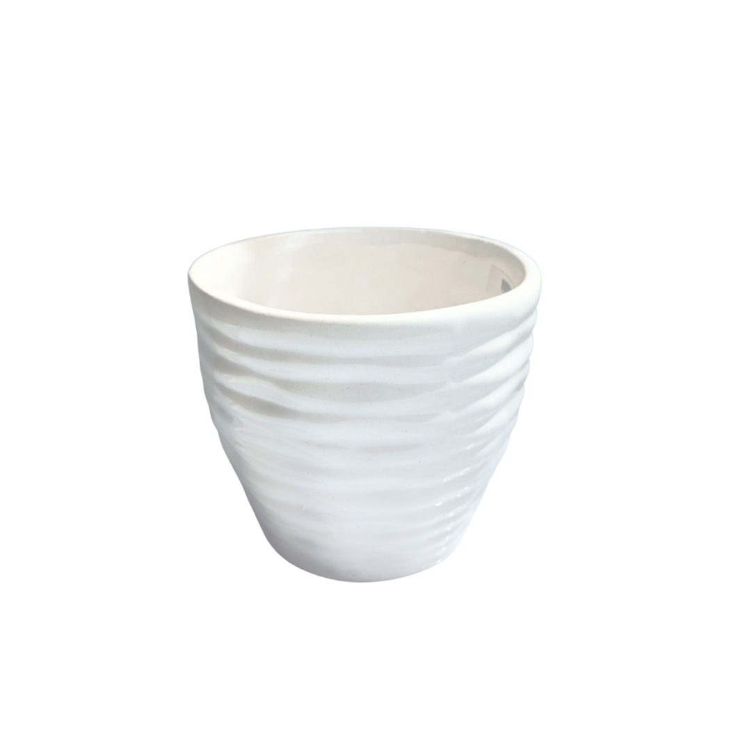 Vaso anillado - Vivo Interior