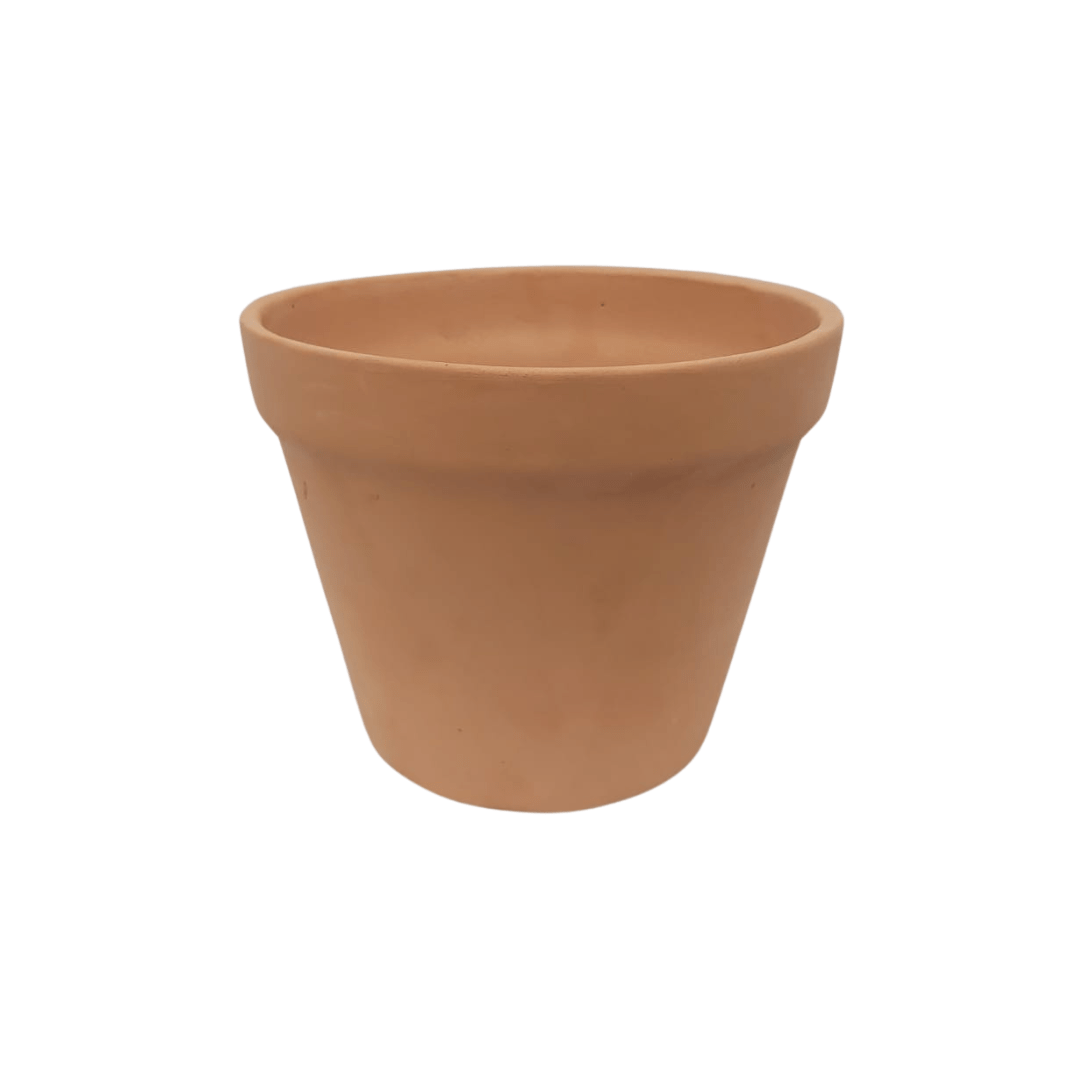 Vaso cajete - Vivo Interior
