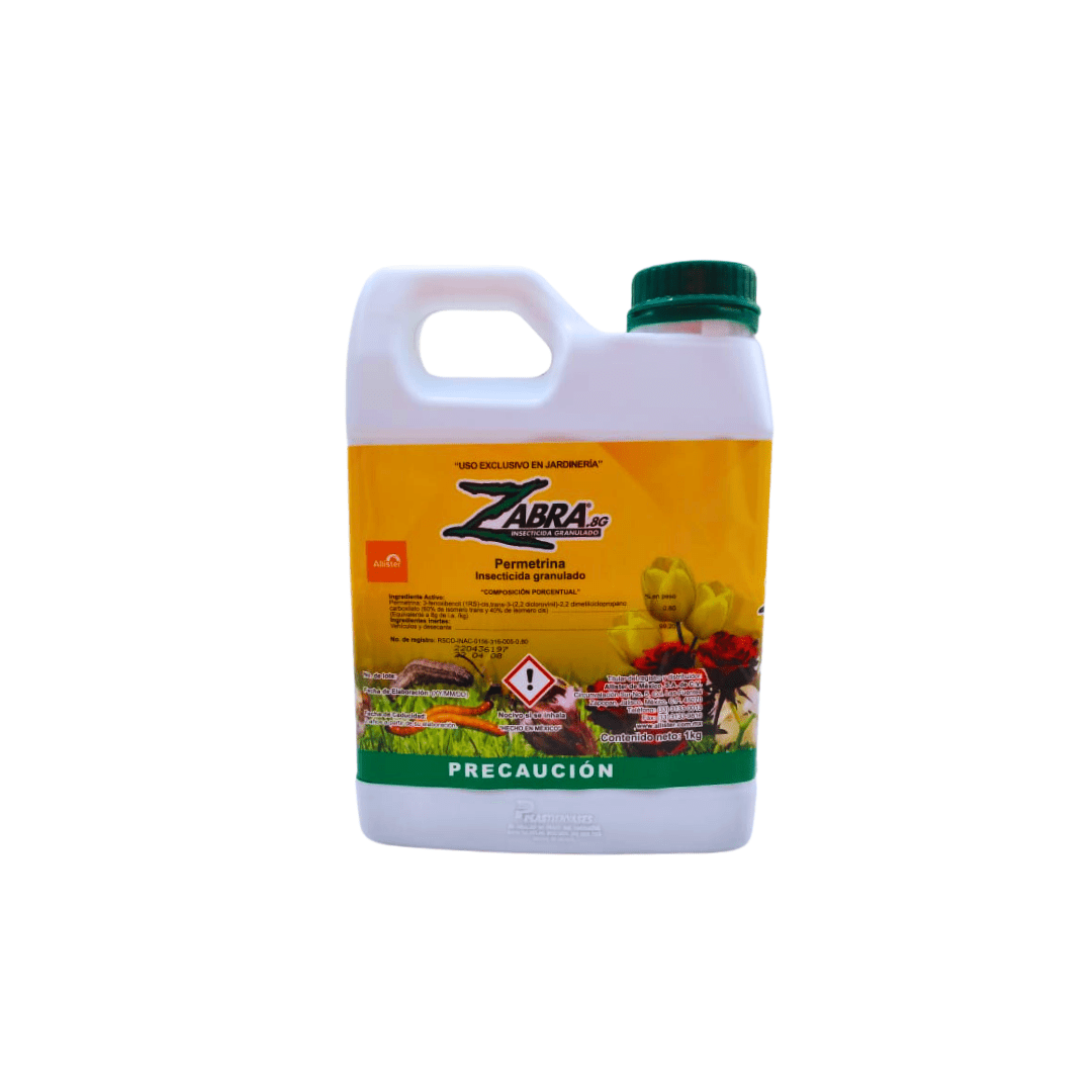 Zabra - Vivo Interior